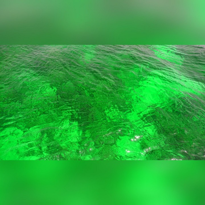 Green Matter