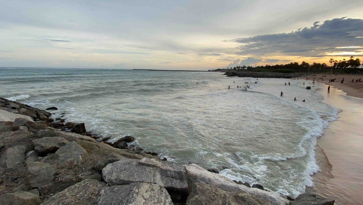 SEA SHORE