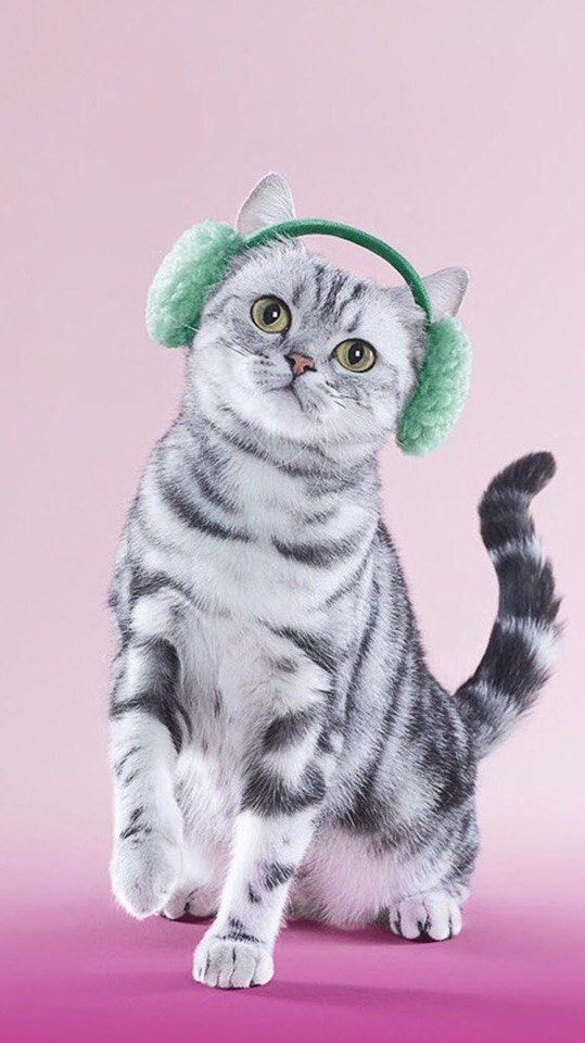 What a cutie