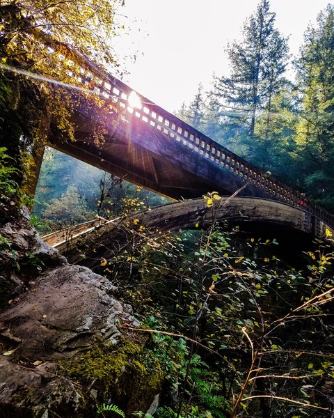 bridge