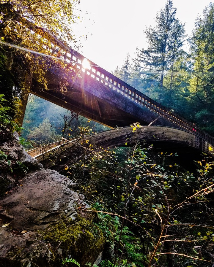 bridge
