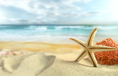 Starfish