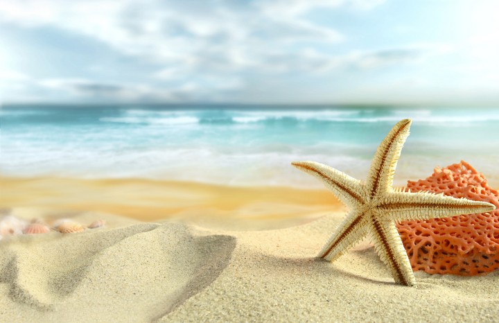 Starfish