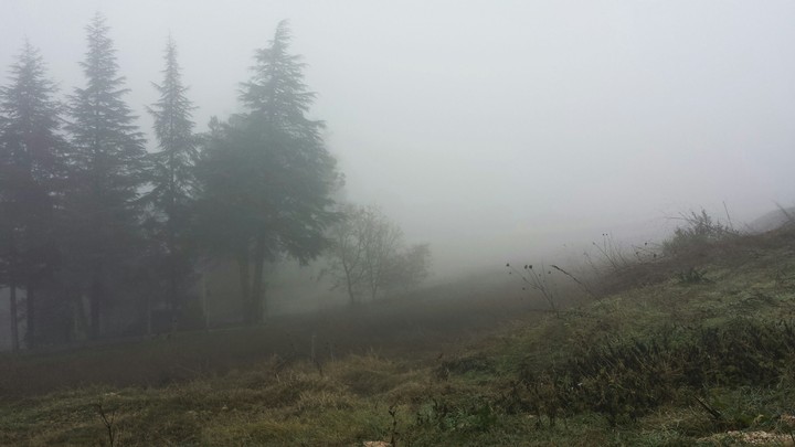 Fog