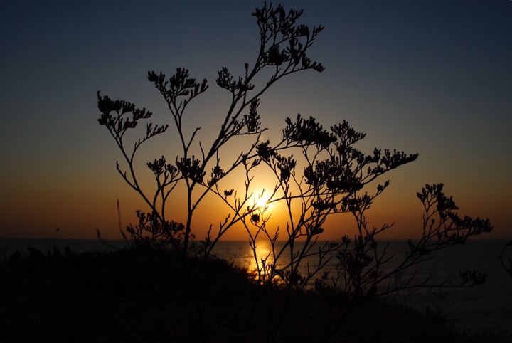 Deep sun