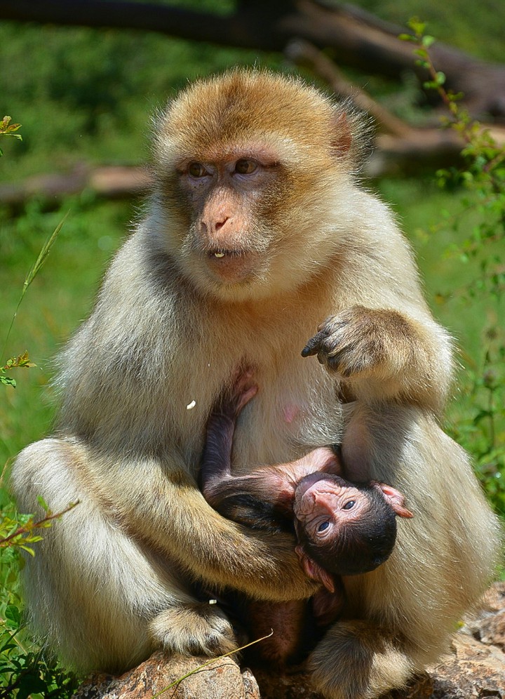Upside down Mom Turns ME