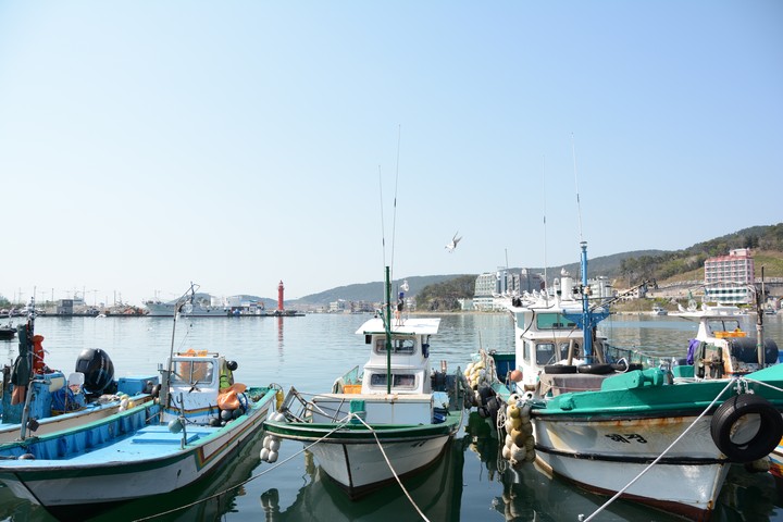 기장이미지