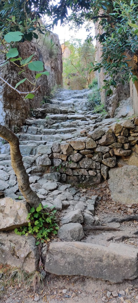 Small path