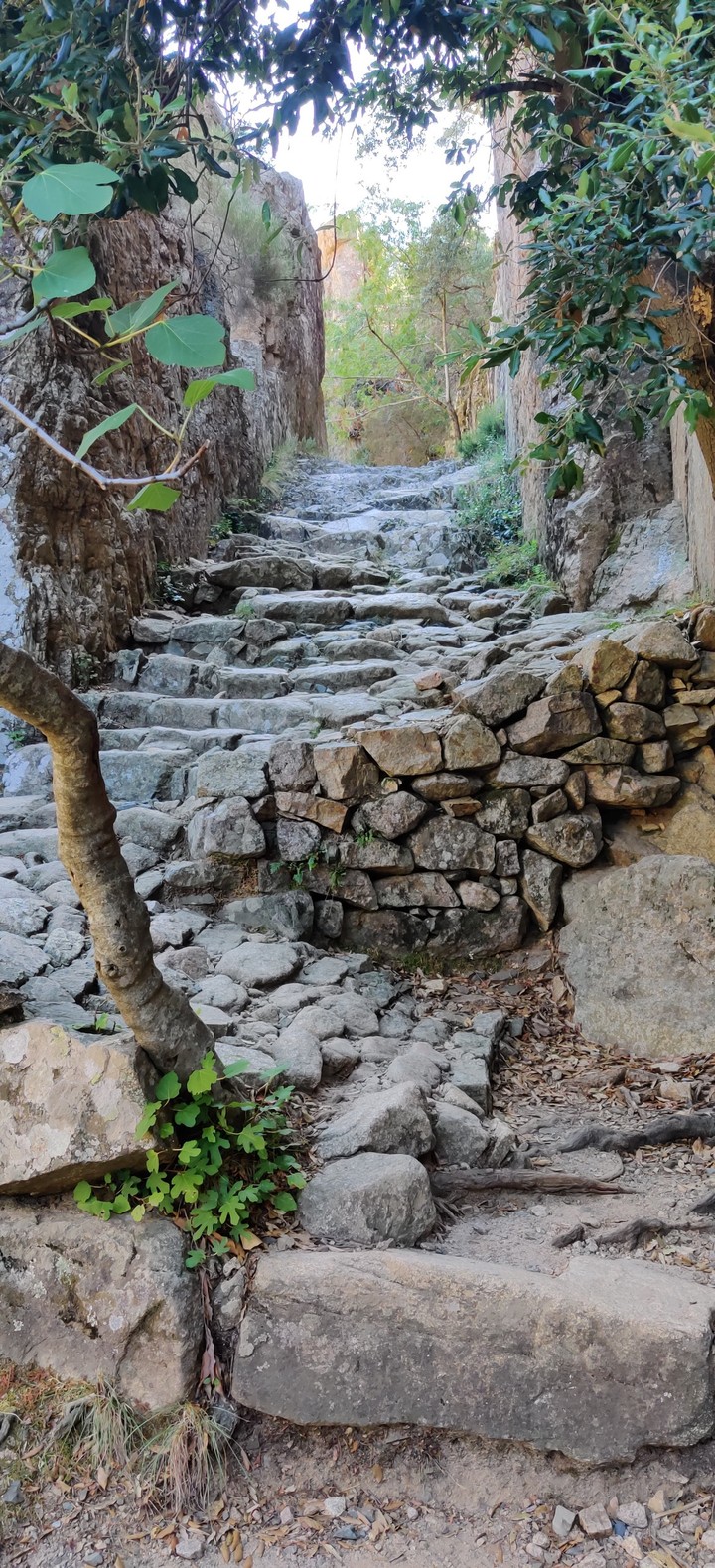 Small path
