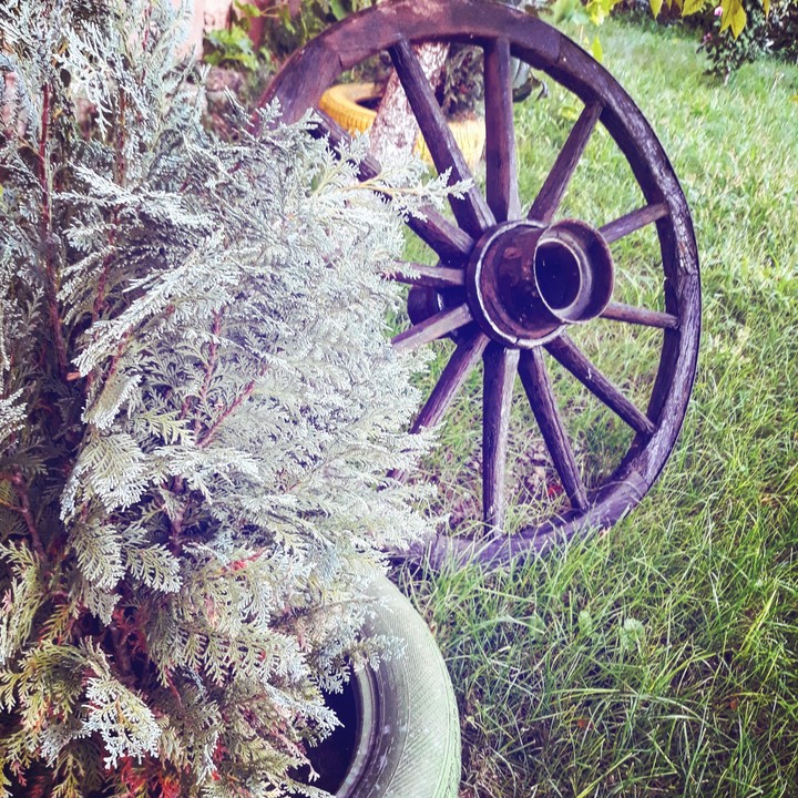 wheel