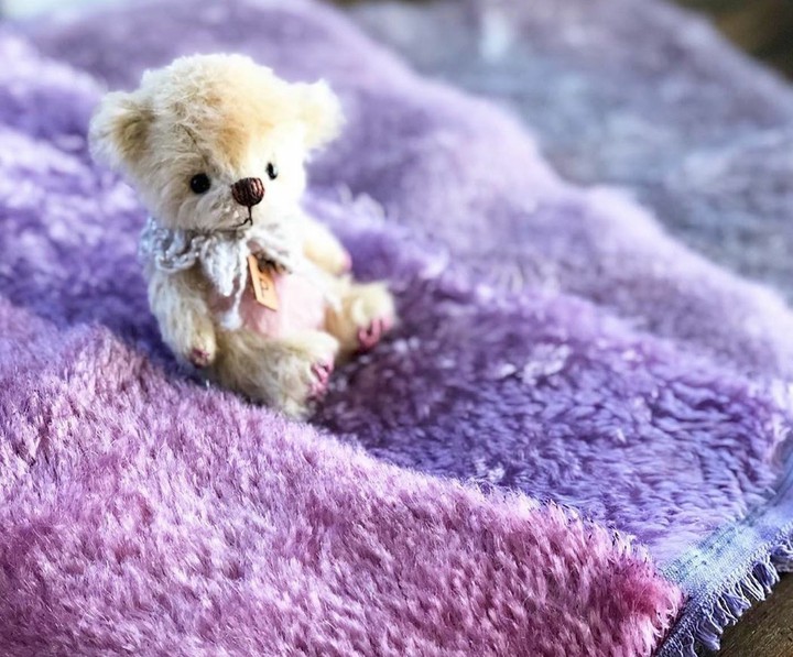 teddy bears