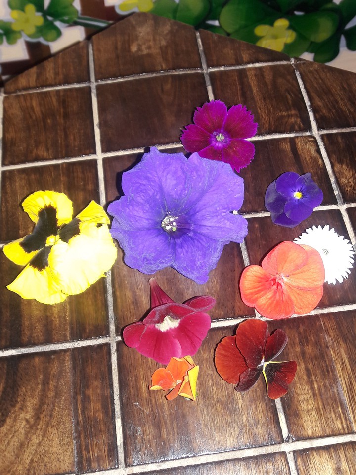 beauty of colour