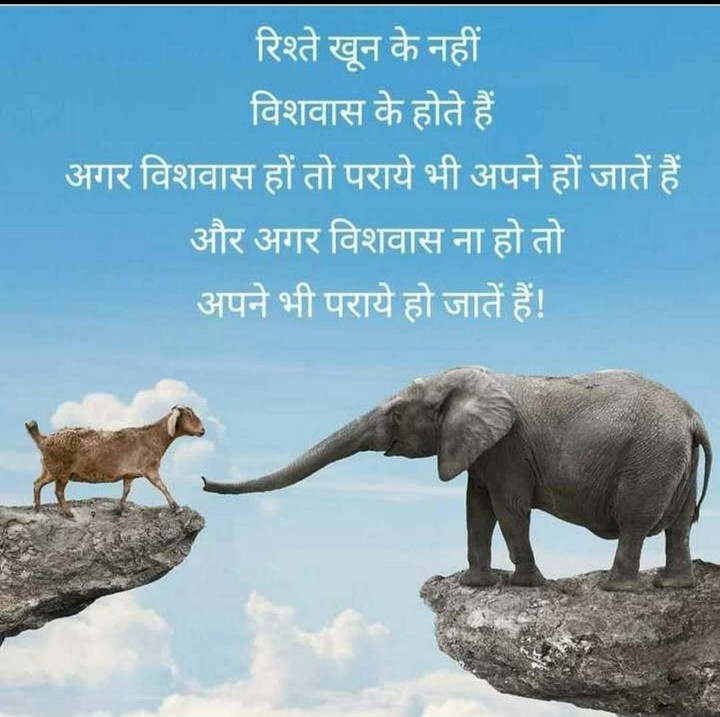 hii frends