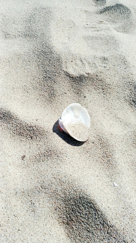 sand