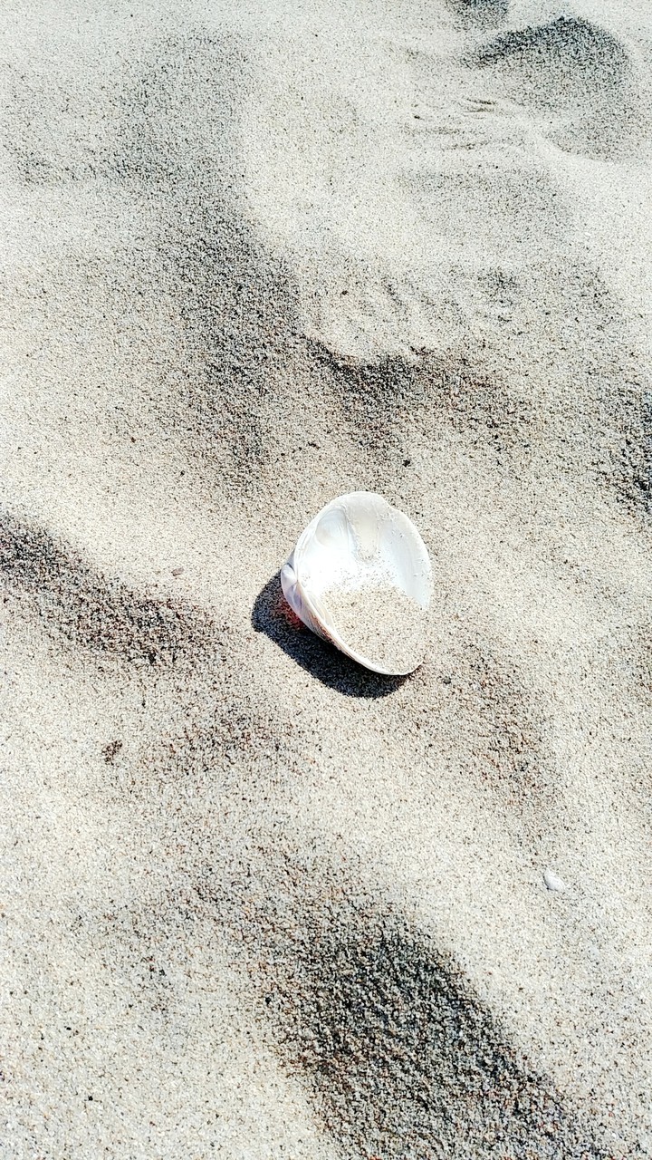 sand