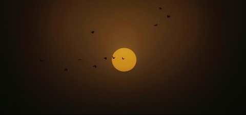 sun