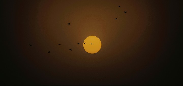 sun