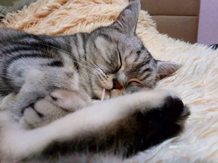 good night