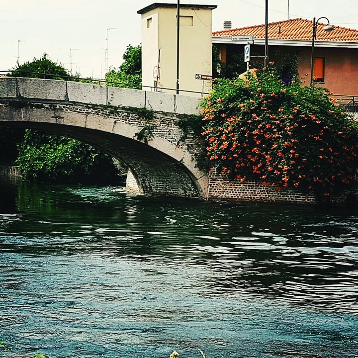 cascata di fiori dal ponte