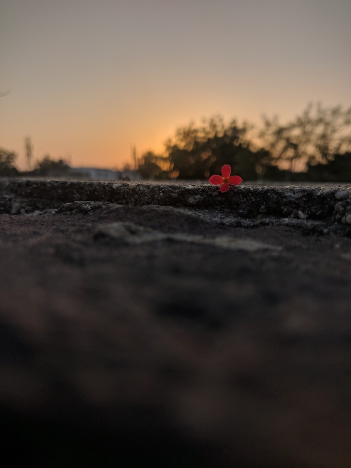 sunset captured by Oneplus