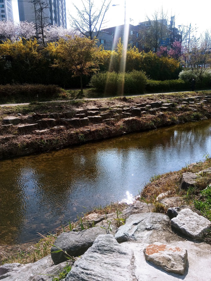 sun shine a rill