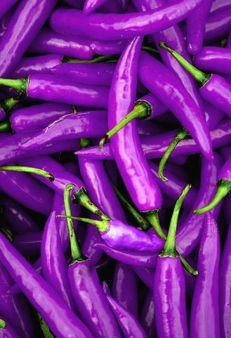 Pepper