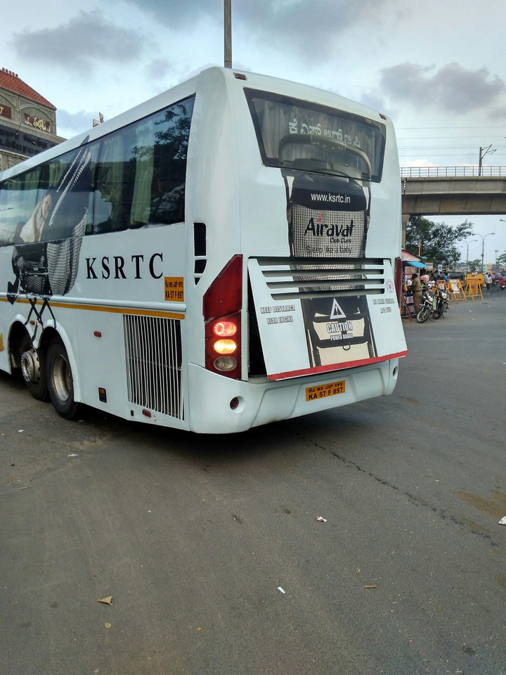Bus