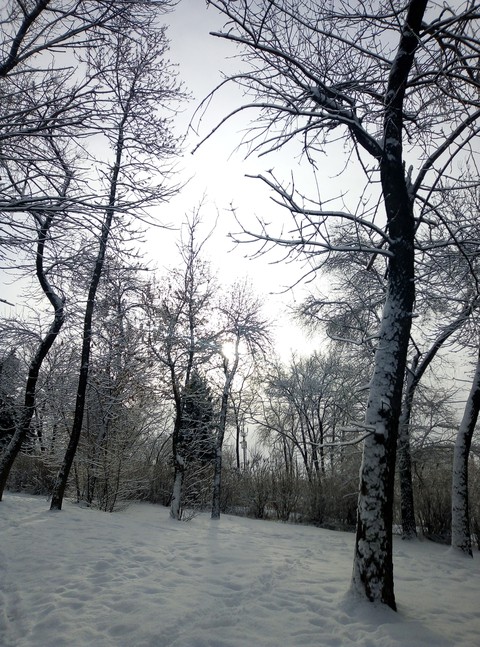 омг