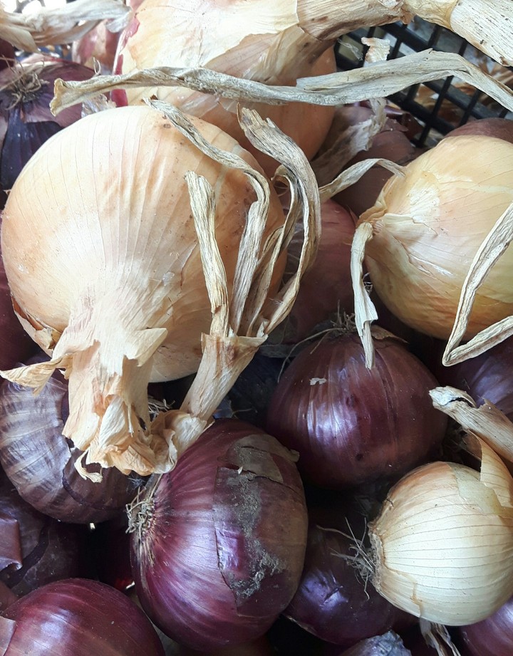 Onion