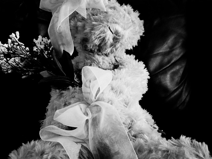 Ms.Teddy