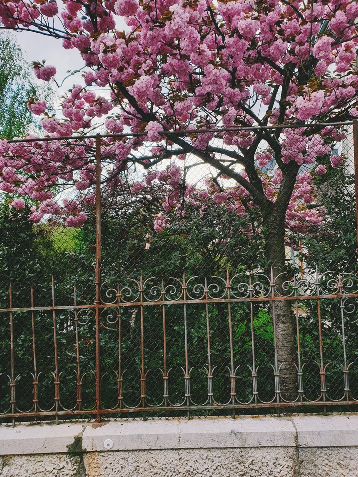Spring