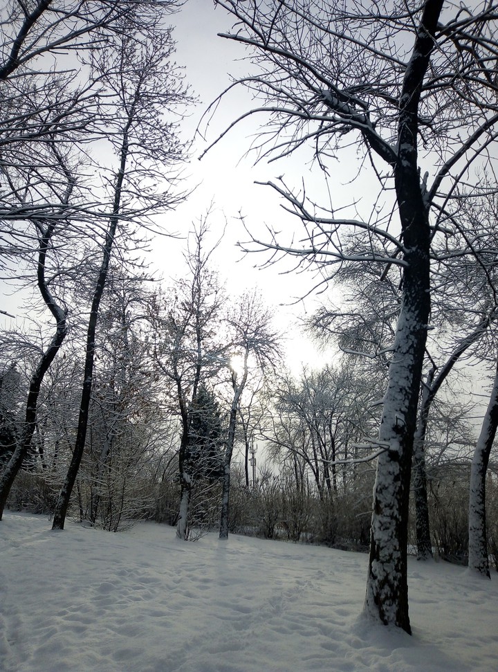 омг