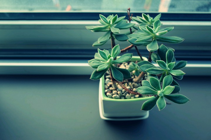 green