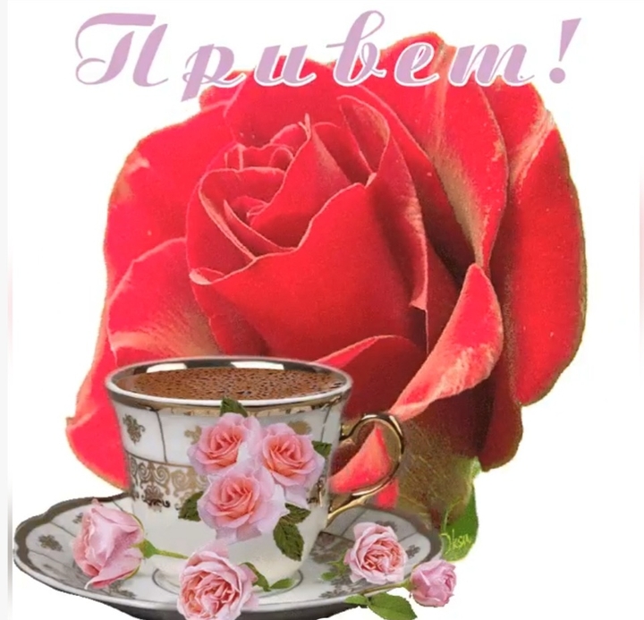красивое утро ...