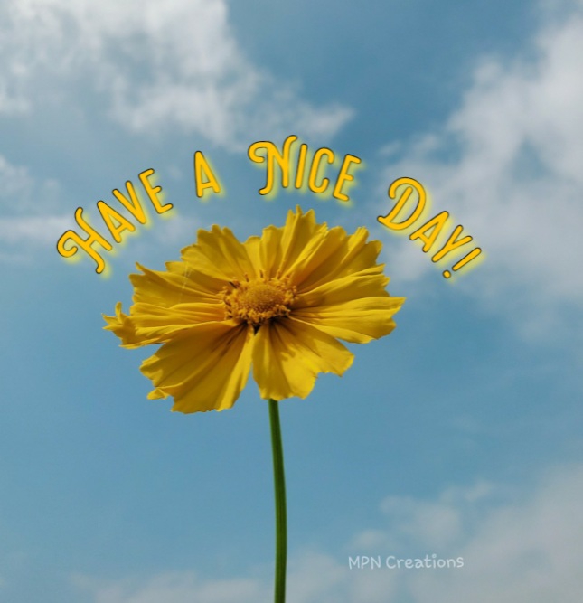 Have a nice day