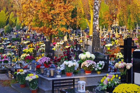headstone, floristry壁纸