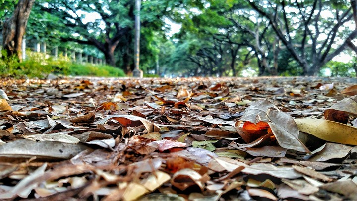colourful ground