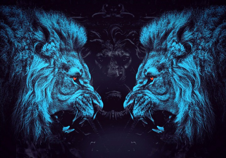 lion
