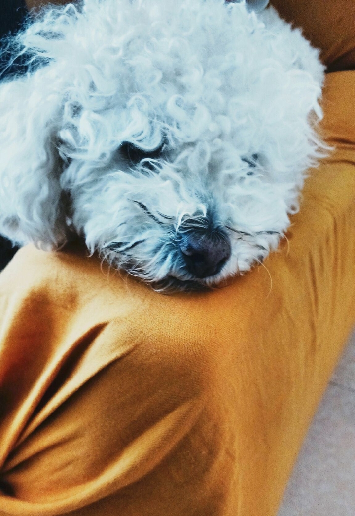 Nena