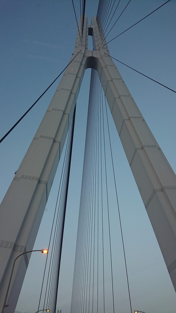 Bridge