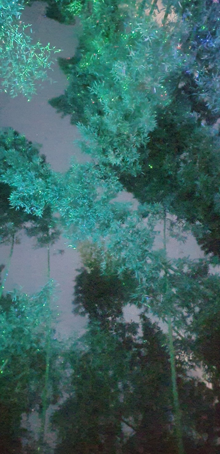 밤하늘