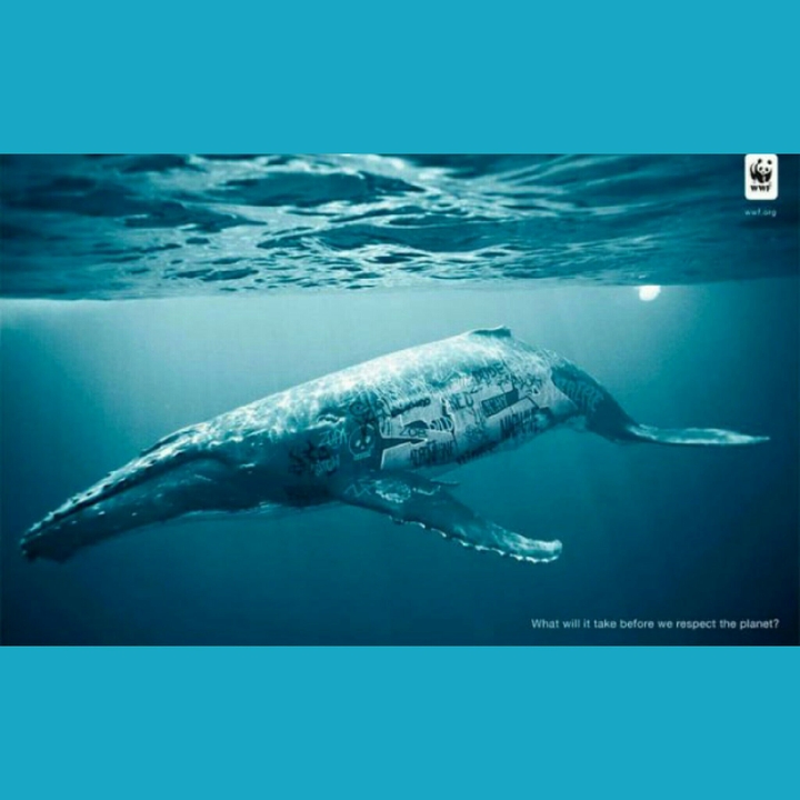 Modern Blue Whale...!