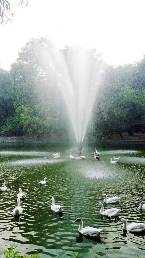 Fountain