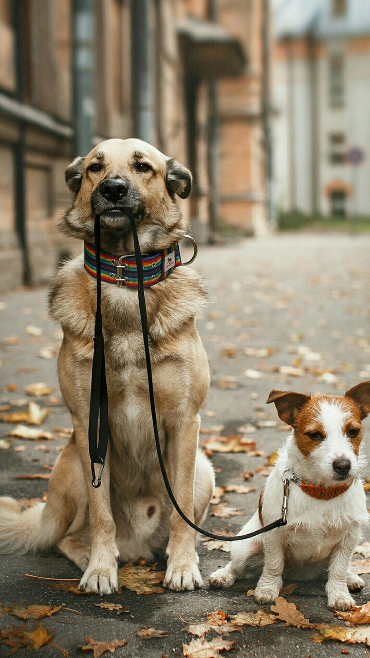 buddies..