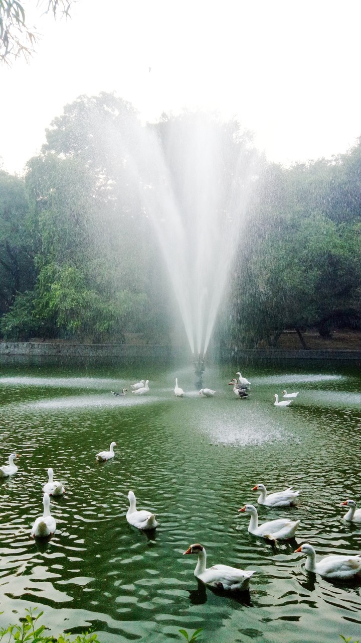 Fountain