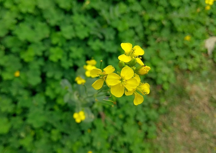 happiness boost, morning time