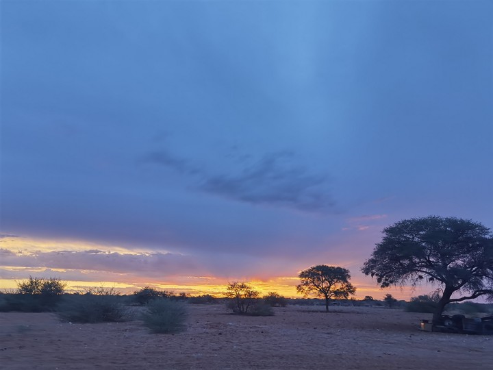 Nature sunset