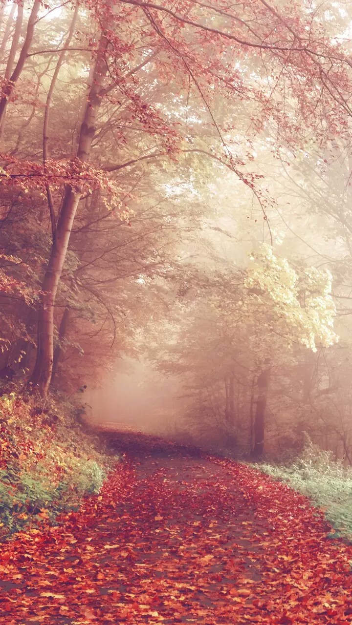 foggy