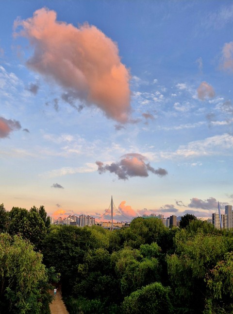 horizon, ecoregion壁紙