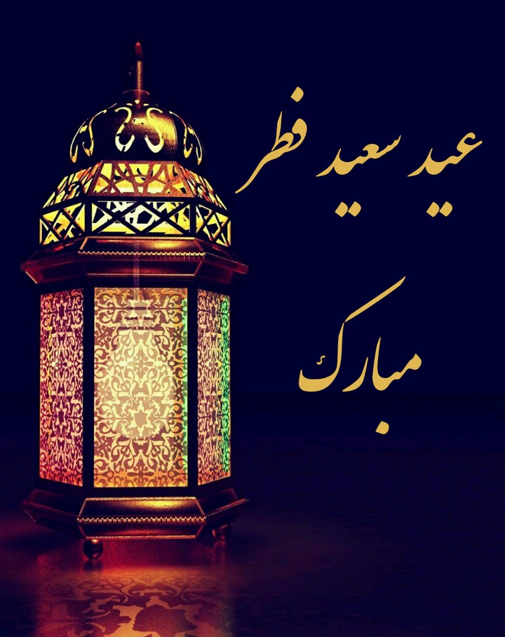 light eed